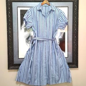 Zara Z1975 Basic Denim Dress